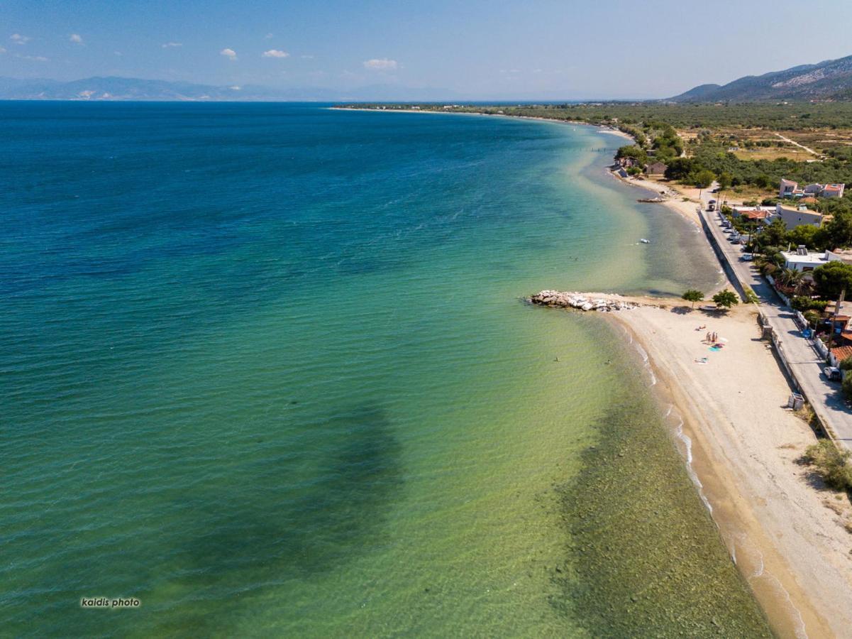 Villa 4 You Iliopetra Skala Sotiros Dış mekan fotoğraf